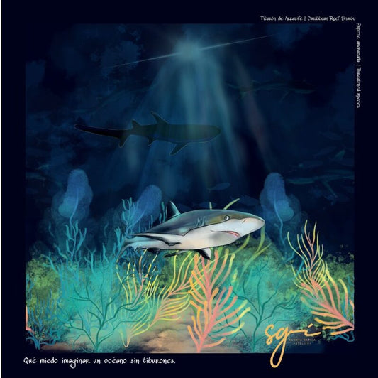 PAÑOLETA DARK SHARK